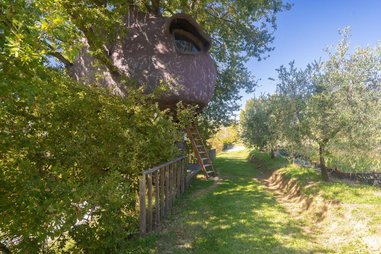 Odina Agriturismo Loro Ciuffenna Exterior photo